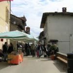 Cascine in piazza