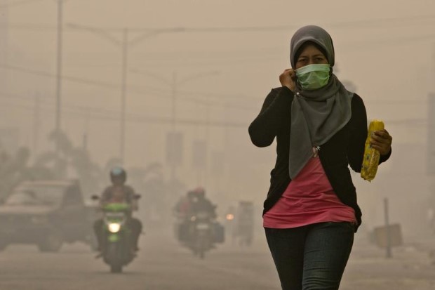 Forest Fires in Sumatra di Ulet Ifansasti / Greenpeace