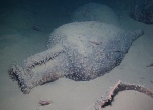 archeologia in mare