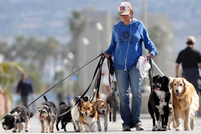 Passeggiata Cani