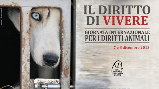 Giornata internazionale per i Diritti Animali