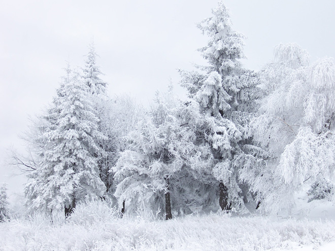 Nevicate e maltempo